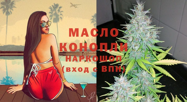 индика Аркадак