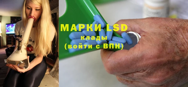 индика Аркадак