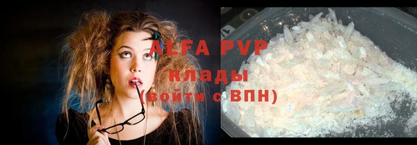 прущие грибы Строитель