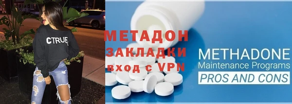 индика Аркадак