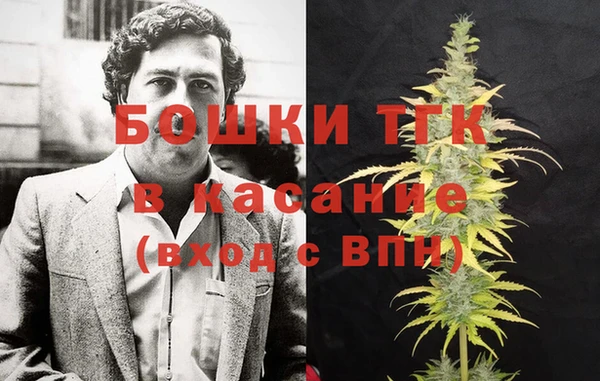индика Аркадак