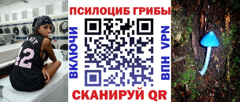 Псилоцибиновые грибы Cubensis  Приморск 